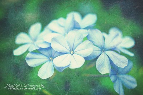 若现在就觉得失望无力,未来那么远你该怎么扛 (4)