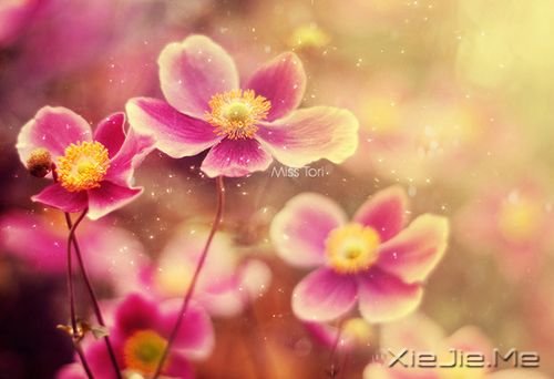 �����ھ;���ʧ��������δ����ôԶ�����ô�� (3)