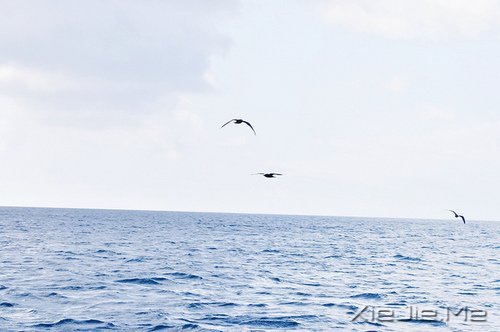 ���������ǿ���ϣ��������� (1)