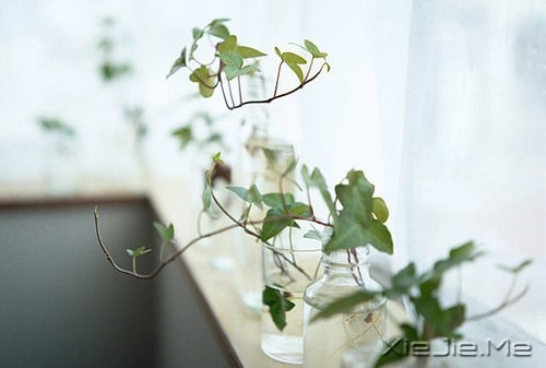 抖抖身上的尘埃,继续前行 (9)