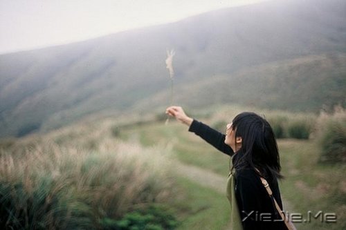 ��ӵ��Ц�����ᾲ�� (3)