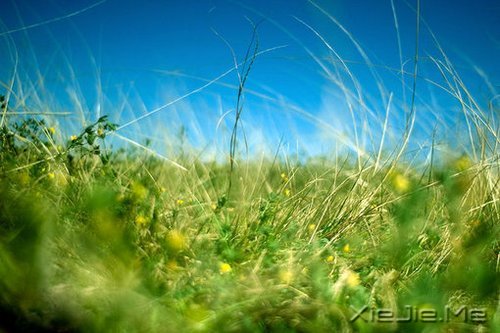 不要艳羡他人,不要输掉自己 (10)