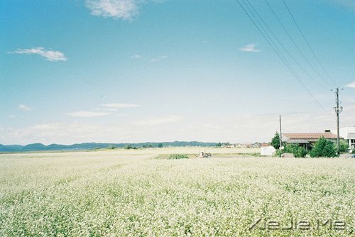 ���۷���ʲô�����ƴ��Լ� (2)