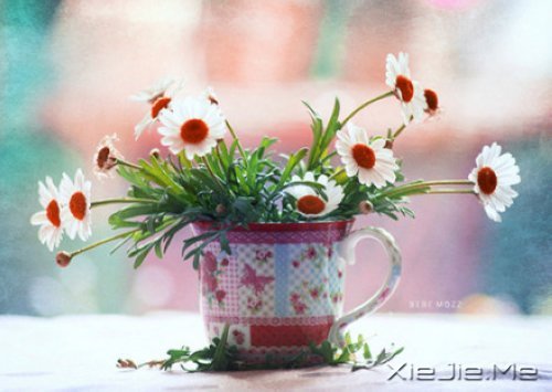 �е����㿴��һ�ۣ�ȴ������һ�� (7)