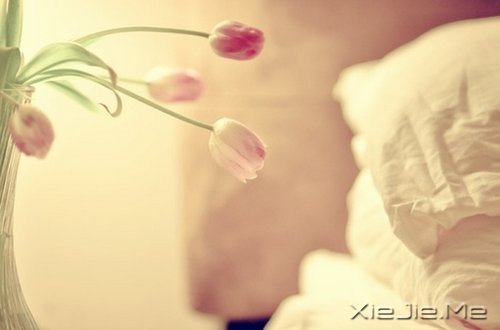 ������������ô��⣬���Լ�������һ��Ҫ���� (6)