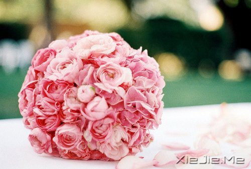 ��һ�������Լ��ĵط����������ж����������� (4)