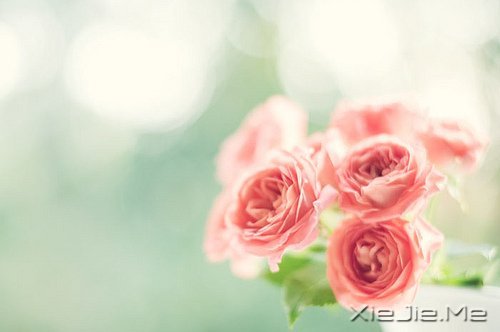 ��һ�������Լ��ĵط����������ж����������� (5)