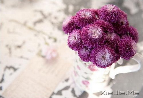 ���ƽ�ͣ�����������װ���������Ҹ� (3)