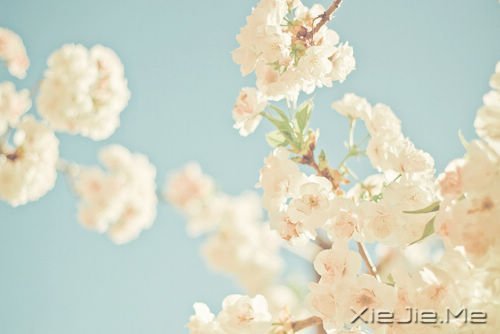 ���ƽ�ͣ�����������װ���������Ҹ� (5)