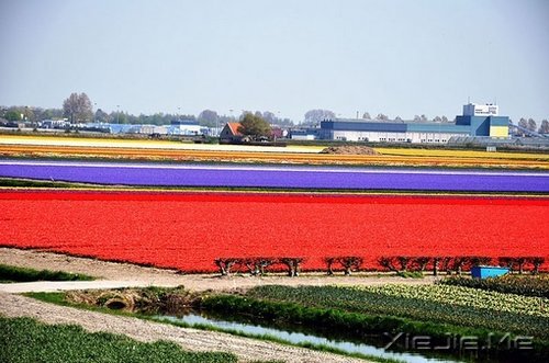 期待一个温柔的距离,保鲜所有美好的记忆 (8)