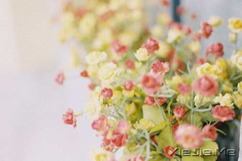 �簲���ǳǳ���������� (7)