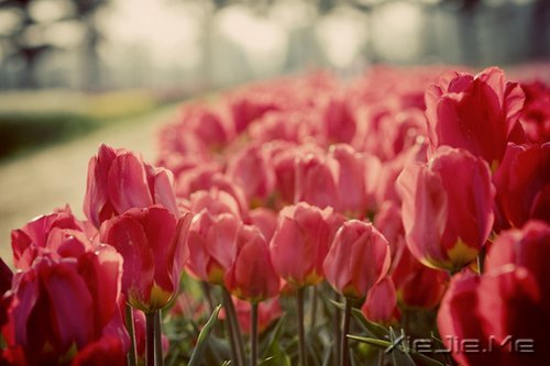 �簲���ǳǳ���������� (4)