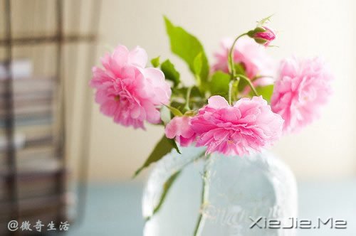 �����ǰ�������ǲʺ�ķ��� (6)