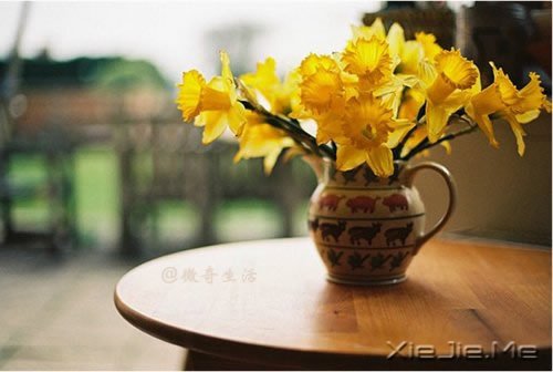 �����ǰ�������ǲʺ�ķ��� (9)