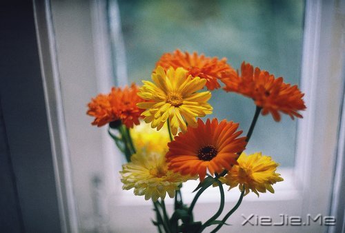 �ܲ���ʱ����ܹ�������Լ� (5)