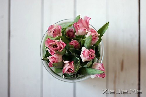 一个人怕孤独,两个人怕辜负 (2)