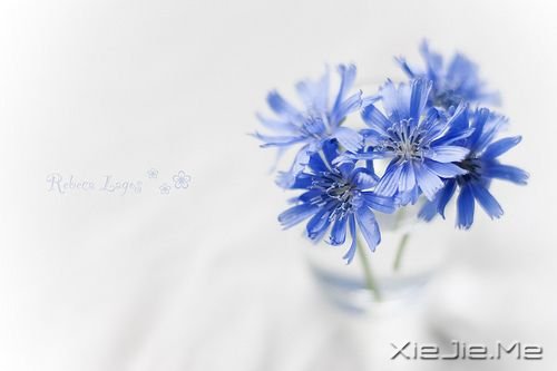 ��ֻ�ж���������֮�أ����ܿ���ʱ��֮�� (1)