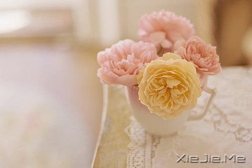 一路感恩,且行且珍惜 (5)