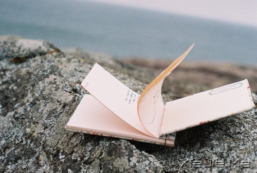 晚安心语:在途中,认清自己 (6)