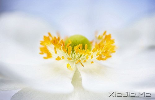 早安心语:脏话比谎言干净一千倍 (9)