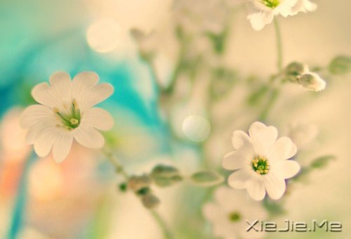 ��������ҵ�������· (5)