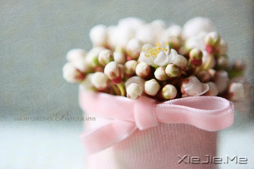 ��������ҵ�������· (11)