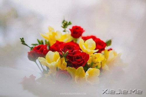 早安心语:做自己生命的主角,而不是别人生命中的看客 (9)