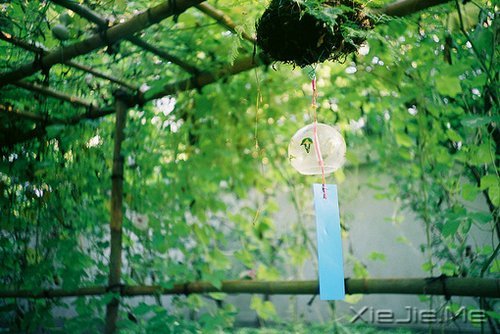 晚安心语:时间不仅让你看透别人,也让你认清自己 (8)