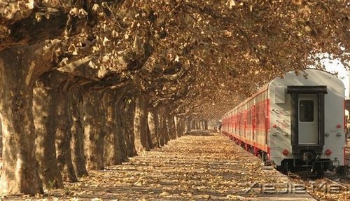 早安心语:过去的就过去了,世界依然美好 (4)