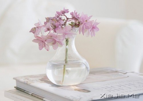 早安心语:轻轻的呼吸,浅浅的微笑 (1)