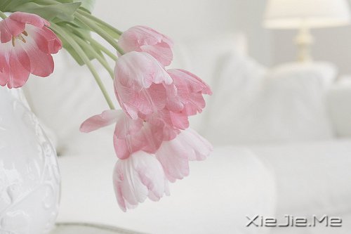 �簲����߽����·�������µ����� (5)