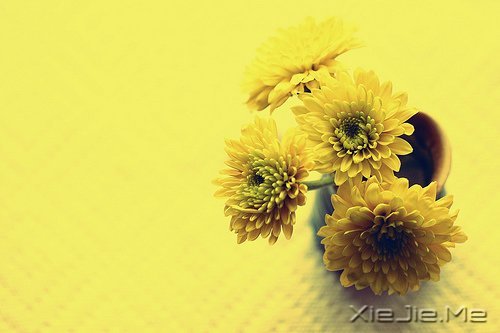 若不是终点,请微笑一直向前 (4)