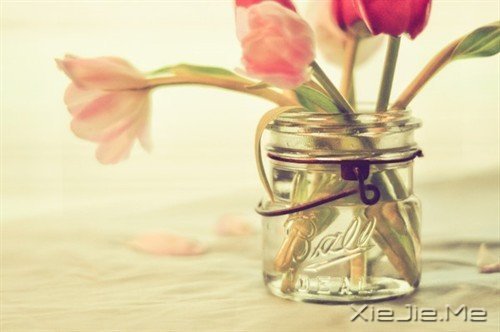 若不是终点,请微笑一直向前 (7)