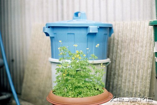 ���˻��������ŵ�ʱ�� (6)