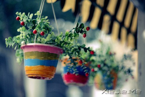 ���˻��������ŵ�ʱ�� (7)