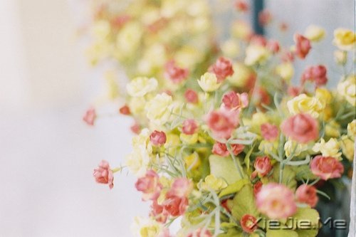 �������΢Ц��ȥ�ȴ�������õ��Լ� (3)