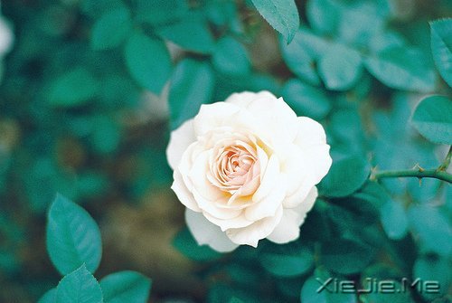 ����������������䣬�˲������� (9)