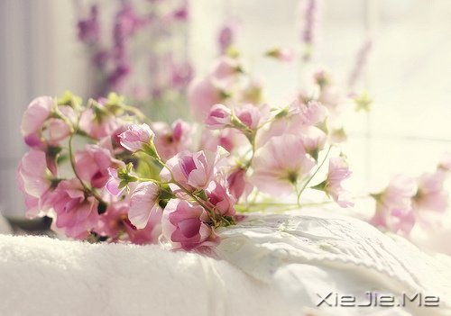 ���������Ļ��������ִܵ����ĵķ��� (7)