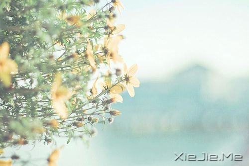 晚安心语:停在风景里,为自己唱首歌 (1)