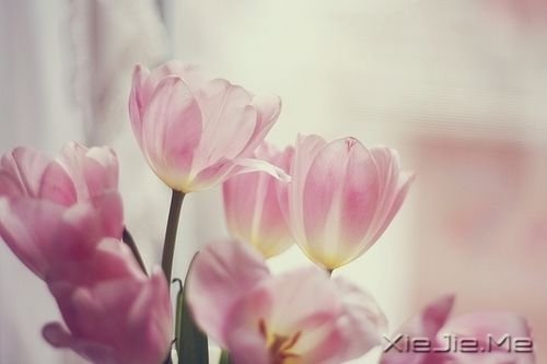 �簲�����ֻ��Ц�ĺܻ������˲Ų��ᱻ���� (2)