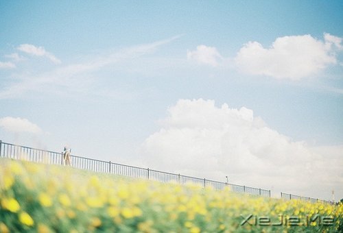 ��������������������Ų��� (5)