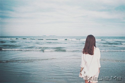 ��������������������Ų��� (7)