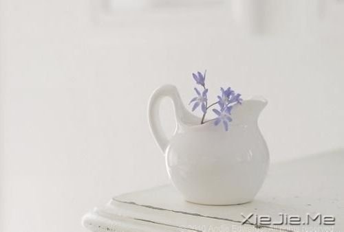 早安心语:面对未知,请用好奇替代恐惧 (7)