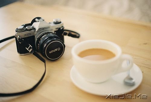 早安心语:面对未知,请用好奇替代恐惧 (10)