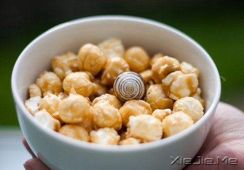 早安心语:你的心很小,不要装下太多忧伤 (10)