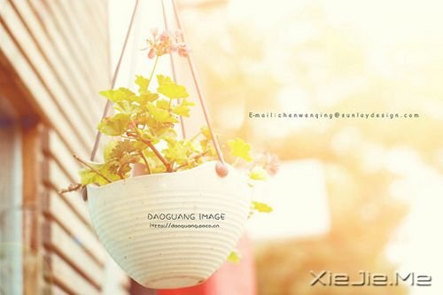 晚安心语:感谢过去吧,它会带给我们一个更好的未来 (10)