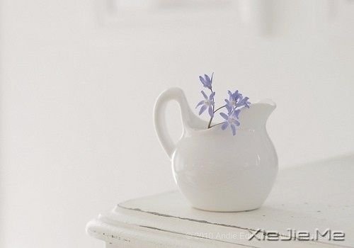 早安心语:人永远都不会老,老去的只是容颜 (4)