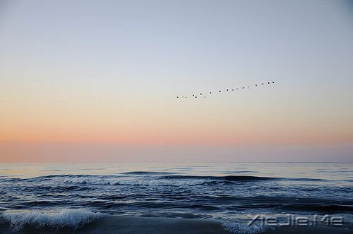 早安心语:童心未泯,是一件值得骄傲的事情 (6)