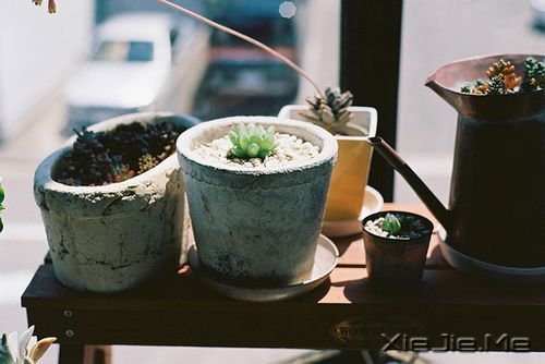 ���������Щ���ԣ����������㲻�̽Ҵ� (2)