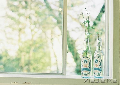 晚安心语:拥有的越少,就越懂得去珍惜 (7)